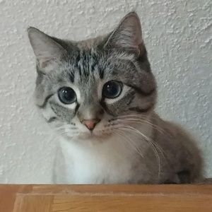 Meet your Posher, Bethany